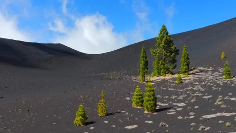Clouds rolling in over Volcanic Craters in the Canary Islands Stock Footage 335804804