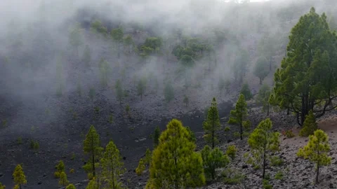 Clouds rolling in over Volcanic Craters in the Canary Islands Stock Footage 335804846