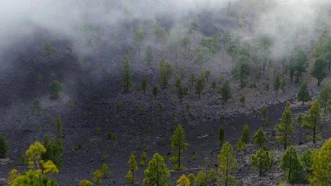 Clouds rolling in over Volcanic Craters in the Canary Islands 動画素材 335804849