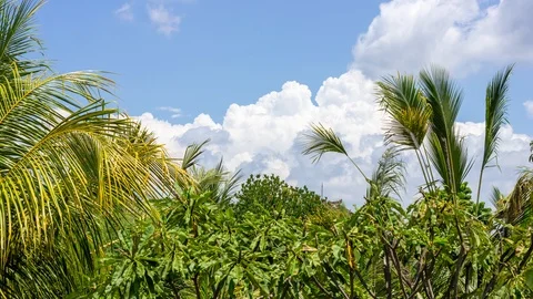 Clouds rolling in the sky on a sunny day in Indonesia time lapse Stock Footage 125487399