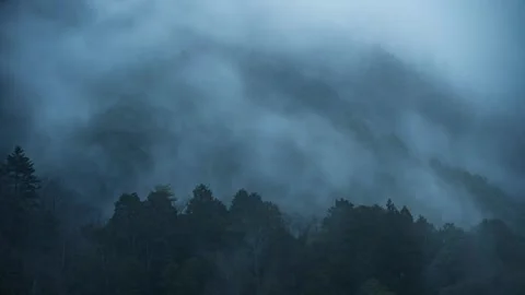 Clouds rolling through a forested mountain timelapse Stock Footage 263167155