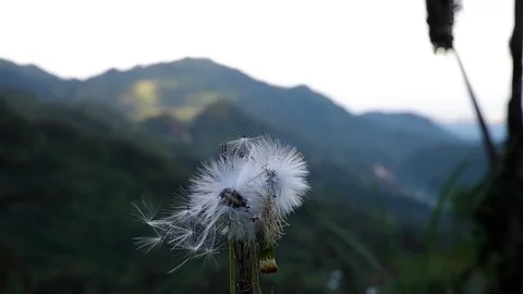 Clouds run along the tops of the mountains. Video stock 124067116
