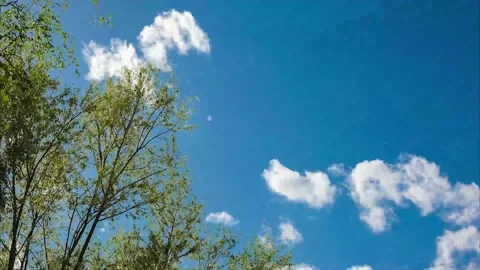 Clouds running across the sky in strong winds. Timelapse Stock Footage 194394009