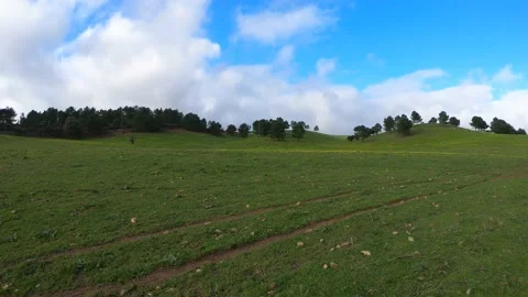 Clouds running over the green field. Timelapse Stock Footage 134836664