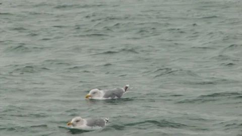 The clouds seem to be breaking as sunflare hits the lens of the camera Stock Footage 103530211