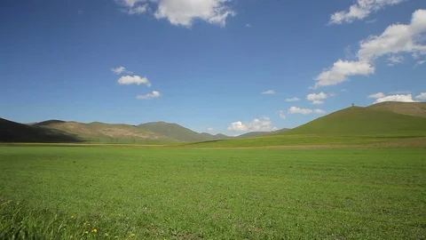 Clouds, Shadow fast over green grass field Stock Footage 77535998