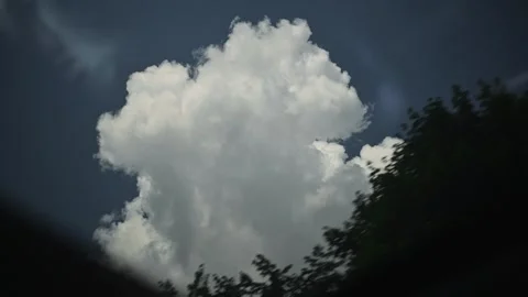 The clouds shift and change shape in a bright sky as various tree silhouettes Video stock 345868639
