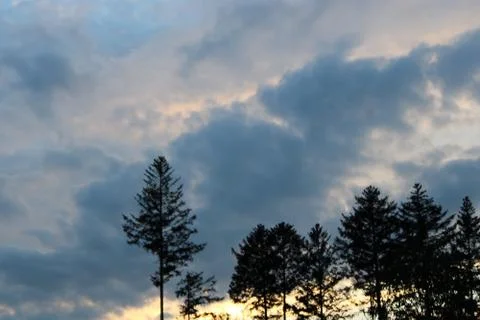 Clouds in the sky after sun set with forest in the foreground Stock Photos