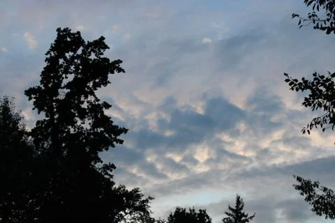 Clouds in the sky after sun set with forest in the foreground Foto stock