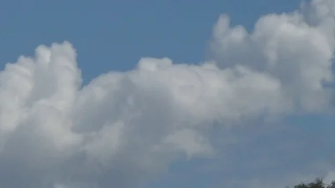 Clouds in the sky and grass in the meadow 스톡 동영상 76130632