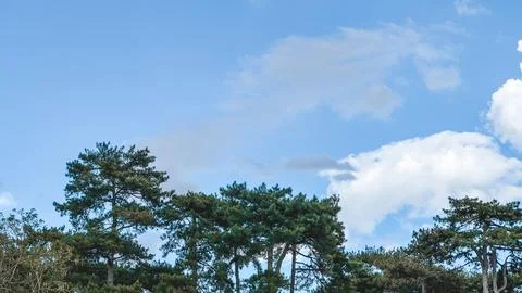 Clouds in the sky and trees , Paris France Stock Photos
