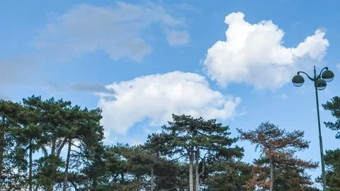 Clouds in the sky and trees , Paris France Stock Photos