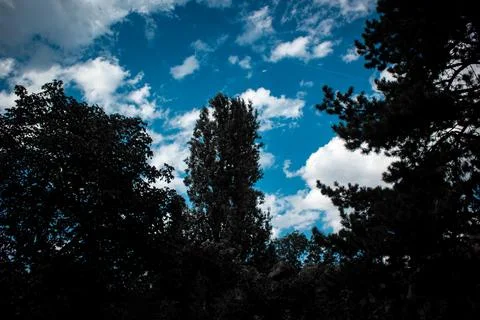 ??clouds in the sky and trees , Paris France Stock Photos