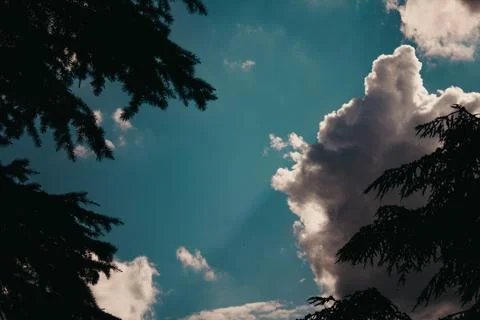 ??clouds in the sky and trees , Paris France Foto stock