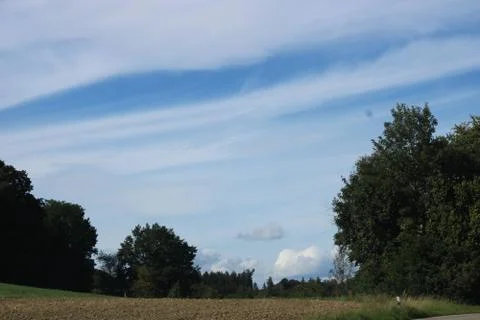 Clouds in the sky between trees. Stock Photos