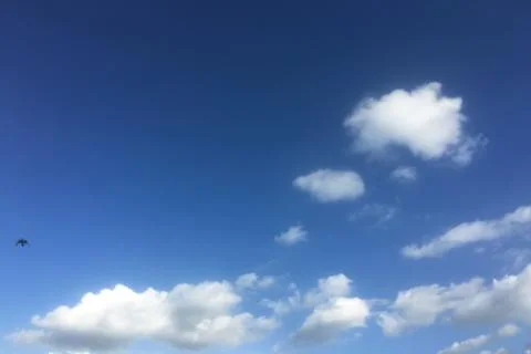 Clouds, sky blue background. cloud blue sky. Stock Photos