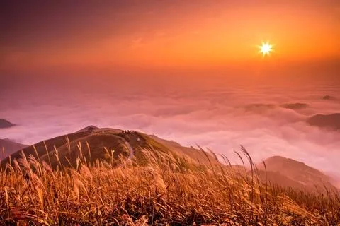 Clouds,  sky,  blue,  nature,  cloud,  cute,  sun,  landscape, Stock Photos