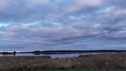 Clouds in sky with cranes migrating Video stock 229982340