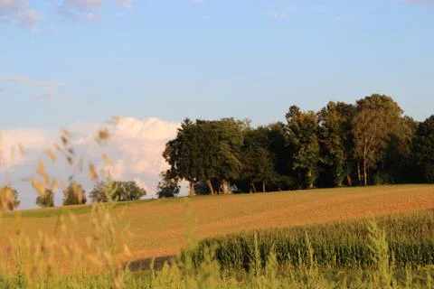 Clouds in the sky in the evening with a forest Stock Photos