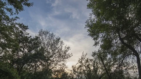 Clouds sky nature environment air timelapse sunset trees Stock Footage