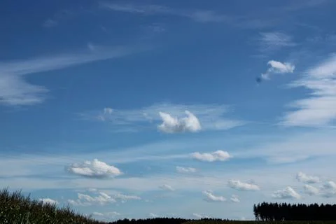 Clouds in the sky over a cornfield. Stock Photos