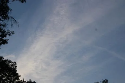 Clouds in the sky over forest Stock Photos