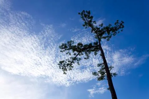 Clouds &amp; the sky Stock Photos