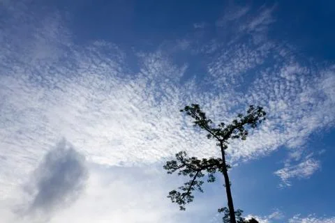 Clouds &amp; the sky Stock Photos