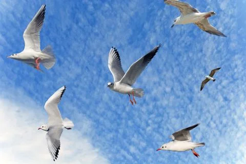 Clouds on sky Stock Photos