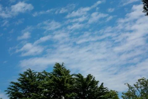 Clouds in the sky 스톡 사진