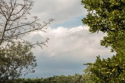 Clouds in the sky 스톡 사진