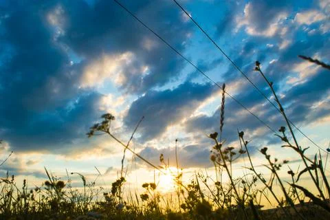 Clouds in the sky at sunset in summer. Stock Photos