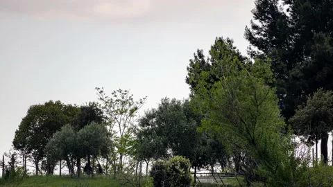 Clouds in the sky - Time lapse video background - 4K 30p Stock Footage 192423680