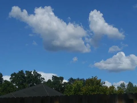Clouds in the Sky with Trees Stock-Fotos