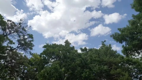 Clouds in the sky with trees time lapse 動画素材 196001808