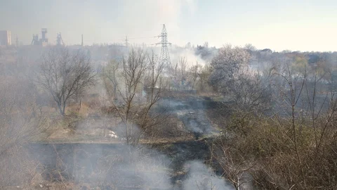 Clouds of smoke above the burning field Video stock 129728824