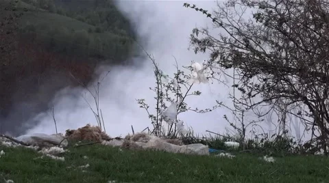 Clouds of smoke caused by the ignition of garbage thrown on a field on the out Stock Footage 60798610