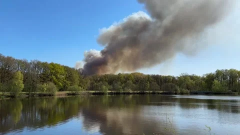 Clouds of smoke in the distance during large wildfire Stock Footage 306523958