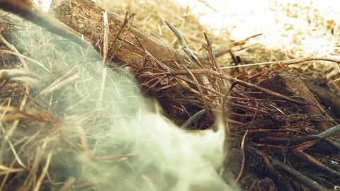Clouds of smoke fill the space in nature. Stock Footage 243208928