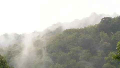 Clouds of smoke, fog, haze, mist in mountains, rainy forest, nature background Video stock 282769996