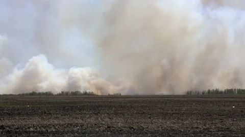 Clouds of smoke from a forest fire rise into the sky Stock Footage 198320714