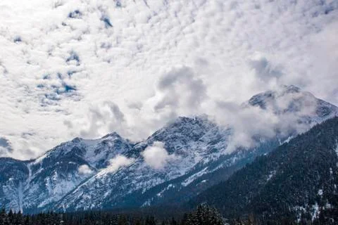 Clouds, snow and woods Stock Photos