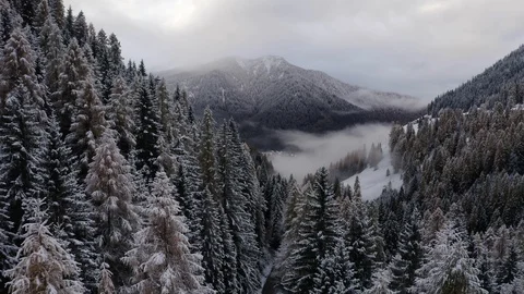 Clouds on snowy forest of pines and yellow larches in Val Fiorentina Stock Footage 129599856