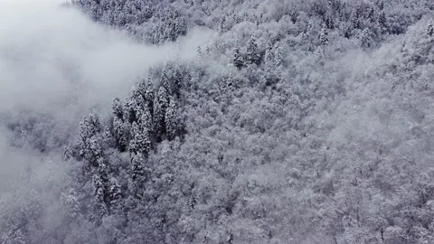 Clouds on the snowy mountain forest Stock Footage 168966412
