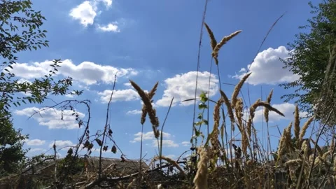 Clouds soaring in the sky Stock Footage 138875704