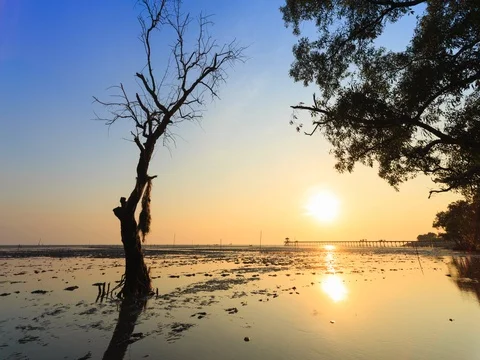 Clouds spread across the sky before sunset at Bangpu seaside Stock Footage 74479939