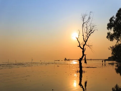 Clouds spread across the sky before sunset at Bangpu seaside Vidéo 74504990