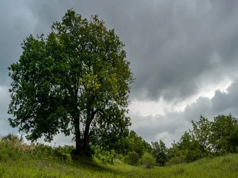 Clouds before the storm Stock Footage