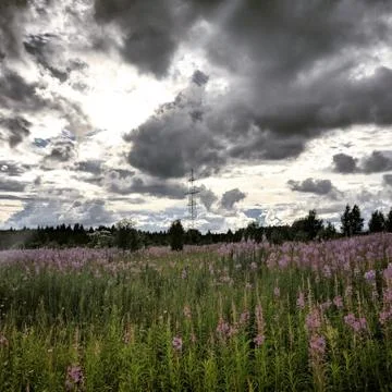 Clouds before the Storm Foto stock
