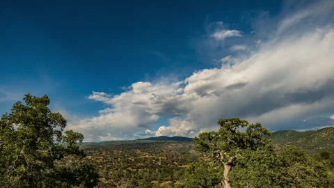 Clouds Stream across Verdant Green Forest Stock Footage 283797405